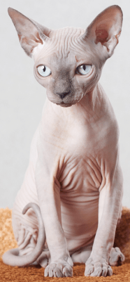 The Martin Pollins Blog Learn About Almost Anything