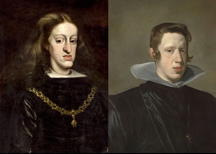 The Complexity of the Habsburg Dynasty